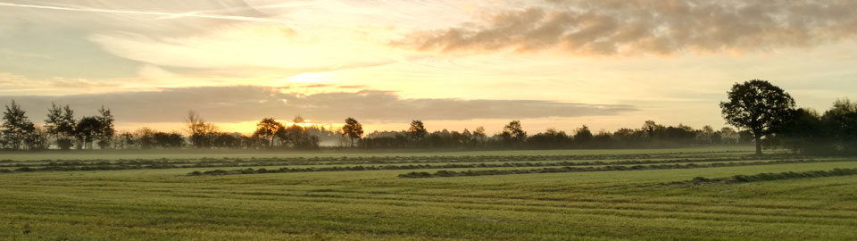 Mr Husum Eiderstedt Bannerbild